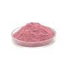 100% Organic Wild Cherry Berry Extract Polyphenol 25% Natural Wild Cherry Berry Powder