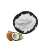 100% Pure Natural Coconut Powder High Quality Coconut Milk Powder