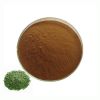 Pure Natural Food Grade Green Tea Leaf Extract High Quality 98% Green Tea Polyphenols