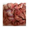 Frozen Chicken drum sticks gizzard, neck, heart and mid wing joint Bulk Stock