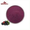 Pure Natural Bulk Aronia Extract 25% Anthocyanin Aronia Berry Juice Powder