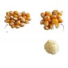 Rich in minerals and vitamins popcorn maize kernels packing in bags for sale wholesale popcorn grain