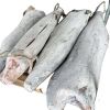 marlin fish  all natural delicious frozen black blue marlin fishing wire for food black frozen marlin fish