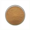 Hot Selling Bulk Malt Powder Pure Natural Food Grade Malt Extract Powder