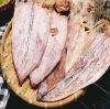 all natural no sugar dried squid seafood dried shredded squid dried market frozen illex squid roe egg block bulk style tim