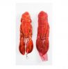 Frozen Lobster Frozen Lobster Tails Fresh Live Lobster