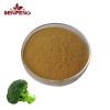 Offer Free Sample Broc...