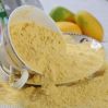 spray dried mango powder 25kg packing in bags dried fruit dry fruit dates mango seed powder