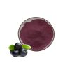 Organic Acai Berry Extract Pure Freeze-dried Acai Berry Juice Powder