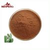 ISO Pure Natural Cactus Root Extract Powder 10:1 High Quality Cactus Extract