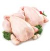 Quality Certified Halal Frozen Chicken Feet/ Chicken Wings/ Frozen Whole Chicken