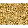 wholesale price of bulk brown rice organic aromatic rice for sale packing in sacks for sell 1121 Basmati