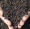 wholesale hot selling black pepper grains price with high quality chili pepper red chili powder black vietnam  pepper