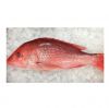 Best Selling Wholesale Fresh Frozen Red Snapper Emperor Fish