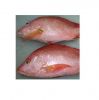 Best Selling Wholesale Fresh Frozen Red Snapper Emperor Fish