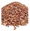 Best Quality Hot Sale Price Natural Organic Buckwheat/Roasted Buckwheat Kernels