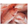 Best Selling Wholesale Fresh Frozen Red Snapper Emperor Fish