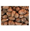 new crop of Chinese taro root factory supply fresh vegetables fresh and air Dried Taro frozen taro bulk price for sale