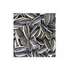 organic sunflower seeds in shell  high quality sunflower seed kernel market price sunflower seeds