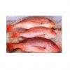 Best Selling Wholesale Fresh Frozen Red Snapper Emperor Fish