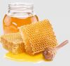 Top Quality Natural Honey Organic  Honey Manuka Honey