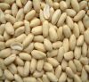 raw peanuts kernel top quality 100% natural raw  white skin skinless peanut for sale raw hazelnut kernels raw peanut groundnuts