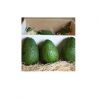 fresh avocado hass & fuerte avocadoes fruit packing in boxes  from South Africa avocado fresh fruit