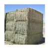 Wholesale Price Supplier of Alfalfa Hay / Alfalfa Hay For Animal feed Bulk Stock With Fast Shipping