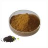 High Quality Nigella Sativa Extract Pure Natural Thymoquinone Nigella Sativa Seed Extract