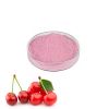 Natural health food acerola cherry extract powder VC content 17% 25%