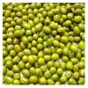 Best Price Green Mung Beans / Whole Moong Beans Bulk Stock Available With Customized Packing