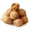 Walnut Kernels Extra light Grade Wholesale Natural Bulk Large Walnut