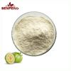 Supply 50% 60% Hydroxycitric Acid HCA CAS 6205-14-7 Garcinia Cambogia Extract Powder