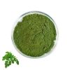 hot selling High Quality 100% pure moringa oleifera leaf moringa oleifera leaf extract powder