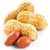 organic peanut butter raw peanuts salted peanuts for sale  roastet blanched  salted peanuts