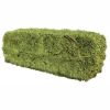 Premium Alfalfa Hay - Bundles Of Hay For Sale Bulk Premium Organic Wholesale Alfalfa Timothy Hay