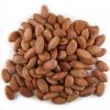 Organic Cocoa Beans - Premium Quality Wholesale Dried Cocoa Beans