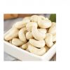 dried cashew nut ww320 ww240 wholesale dried raw cashew nuts in shell price Processed Cashew Nut