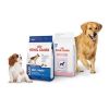 Royal Canin Medium Adult Dry Dog Food | Order Wholesale Royal Canin | Buy Royal Canin Cat Food