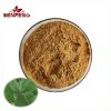 High Quality Hoodia Gordonii Cactus Root Extract Natural 10:1 Cactus Extract Powder