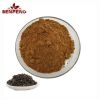 High quality Black Tea Extract Health Drink Black Tea Extract Powder