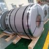 201 304 316 Stainless Steel Coil /Stainless Steel Plate/sheet