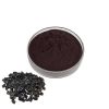 Hot Sale Goji Berry Extract Powder Black Wolfberry Extract Powder Anthocyanins