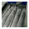 Good Quality Cheap Price Seafood Frozen Fresh Ribbon Fish