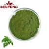 hot selling High Quality 100% pure moringa oleifera leaf moringa oleifera leaf extract powder