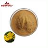 hot selling High Quality 100% pure moringa oleifera leaf moringa oleifera leaf extract powder