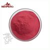 Wholesale Bulk Vitamin B12 Powder 98% Cyanocobalamin Pure Vitamin B12 Powder