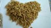 dried silkworm pupae frozen silkworm chrysalis pet food 1kg dry bag style storage gluten dried silkworm pupae