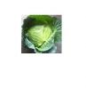 fresh cabbages round c...
