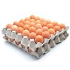 Wholesale Fresh White Brown Table Eggs /Fresh Chicken Table Eggs &amp; Fertilized Hatch